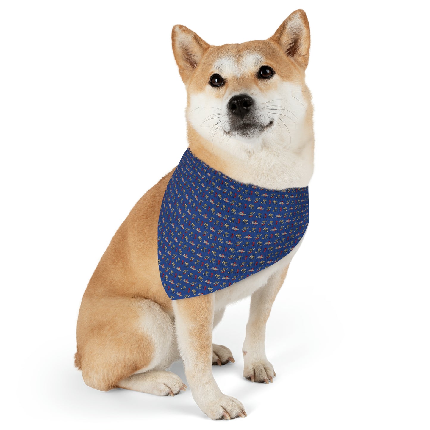 Gus T Pattern Pet Bandana Collar